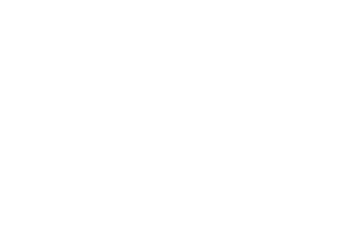 Vini Records Logo